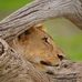 Erick Lenzil - Facebook