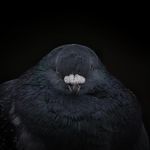 Erik Leon Overholt - @erik_overholt - Instagram