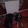 Erik Leroux435 - @erikleroux1 - TikTok