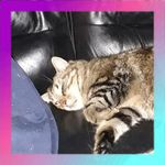 Erik Levin - @levin2741 - Instagram