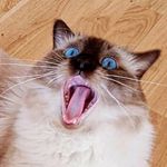 Erik Linder - @erik_linder - Instagram