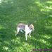 Erik Lippert - Facebook