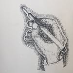 Erik Lips - @lips.erik - Instagram