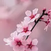 eri_klover - @eri_klover - TikTok