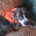 Eric Love - Facebook