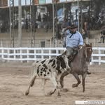 Erik Macedo - @erikmacedo6 - Instagram