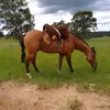 Erik Macedo - @erikmacedo05 - TikTok