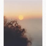 Erik Matz - @erik_ma_tz - Instagram