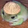 erik_mendiola42 - @erik_mendiola42 - TikTok