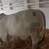 Erik Millan - @erik.millan7 - TikTok