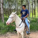 Erik Mochizuki - @erikmochizuki_ - Instagram