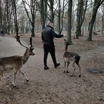 Erik Møller - @erik_vjm - Instagram