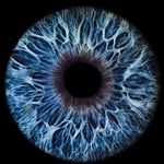 Erik Molnar - @molnarerik1969 - Instagram