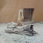 Erik Morrow - @erik_fairport_morrow - Instagram