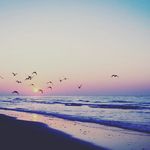 Erik.Moss - @erik_moss0 - Instagram