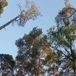 Erik Muradyan - @erik._muradyan - Instagram