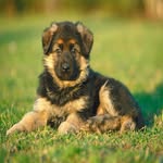 erik muradyan - @erikmuradyan12 - Instagram