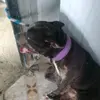 erik murillo - @erik02murillo - TikTok