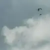 erikamuth4 - @erikamuth4 - TikTok