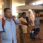 Erik Narvaez - @erik.narvaez.3 - Instagram