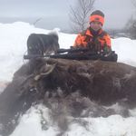 Erik Nessel - @eriknessel - Instagram