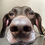Eric Noll - @eric.noll.16 - Instagram