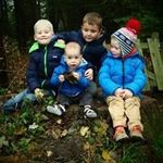 Erik van der Noll - @erikvandernoll - Instagram
