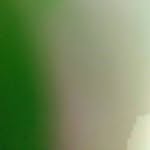 Erik novoa - @novoa4138 - Instagram