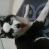 erika novoa millan - @eriknovoa - TikTok