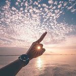 Erik Nylander - @nylander_e - Instagram