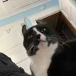 Erik Oja - @oja.erik - Instagram