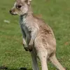 Erik Oliver - @erik.oliver94 - TikTok