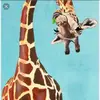 Erik Olson - @erikolson6 - TikTok