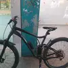 Bambus - @erikostdeutschland - TikTok