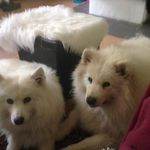 Erik Ostlund - @ostlund79 - Instagram