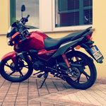 Erik Pacelli - @erik.pacelli - Instagram