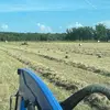 erikpace488 - @erikpace488 - TikTok