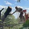 Erik Papp - @erik.papp - TikTok