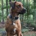 Erik T. Parsons - Facebook