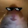 Erik Persson - @btw_its_erik - TikTok