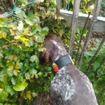 Erik Pingel - @e115577 - Instagram