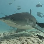 Eric Pohlmann - @pohlman464 - Instagram