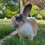 Erik Pohlmann - @ek.pohlmann - Instagram