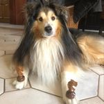Erik Pohlmann - @ole_of_atocha - Instagram