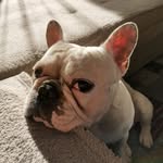 Erik Popelka - @erik_popelka - Instagram