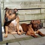 Erik Poth - @erik_poth - Instagram