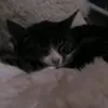 erikpower - @erikdekater - TikTok