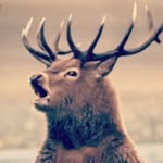 Erik Preuss - @erik_preuss476 - Instagram