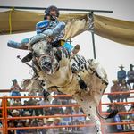 Erik Puente - @jaripeo_potosino22 - Instagram
