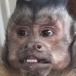 Eric Quesada - @eric_quesada_s - Instagram